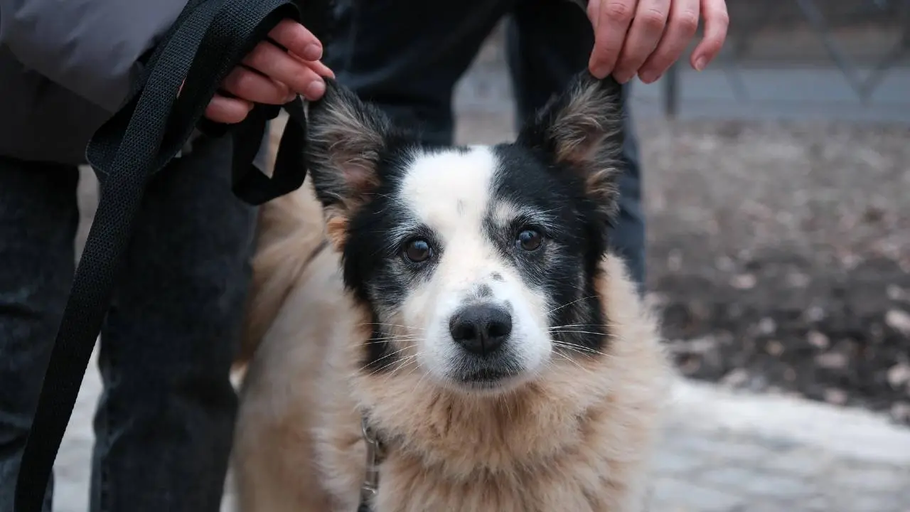 photo_2025-10-01_13-59-22